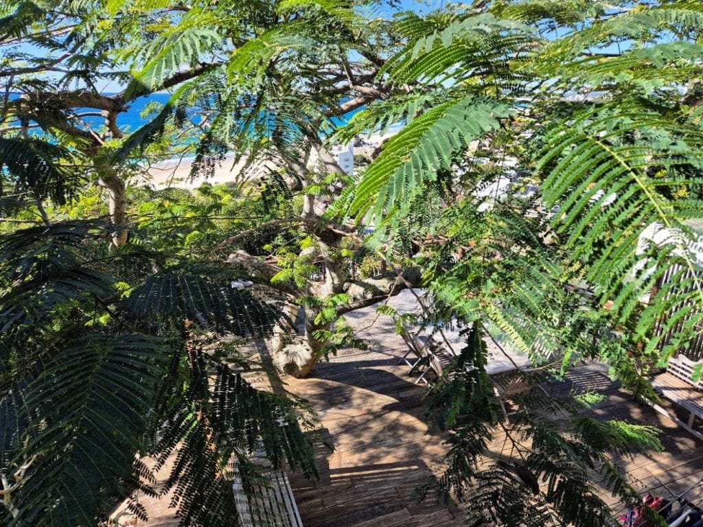 5 James Street Currumbin July 2024